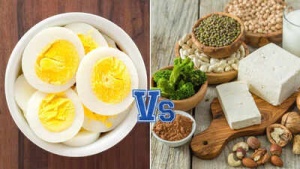 Vegetarian Protein Power: 20 Plant-Based Foods That Outshine an Egg