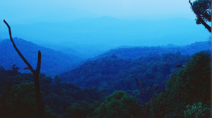 Beyond Darjeeling: Discover 7 Stunning Hill Stations in West Bengal