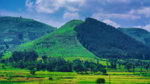 Escape the Heat: Discover 6 Refreshing Hill Stations in Andhra Pradesh