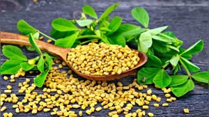 Methi Water: Unlocking 5 Health Benefits, From Hair Growth to Digestive Health