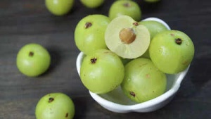 Amla: The Ayurvedic Superfruit for Balancing Vata, Pitta, and Kapha Doshas