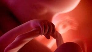 Microplastics Found in Placenta: Scientists Investigate Potential Risks to Developing Fetuses