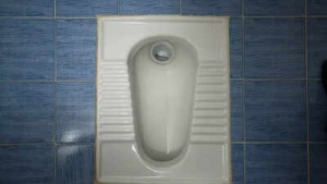 Squat vs. Sit: Unpacking the Science Behind India's Toilet Habits and Gut Health