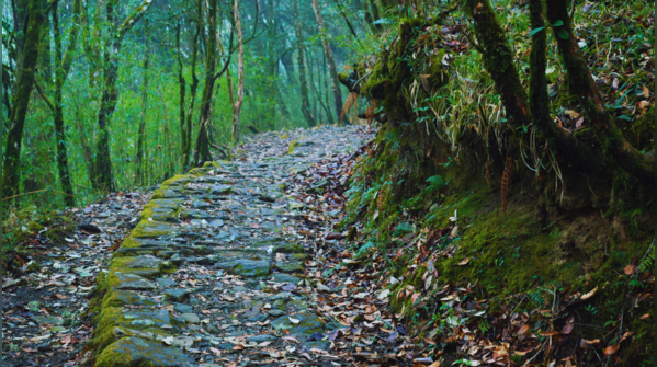 Sandakphu