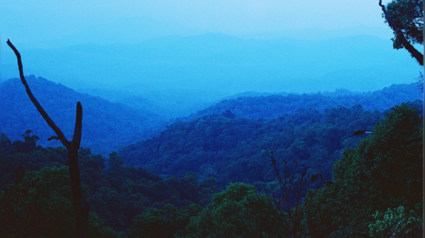 Kalimpong