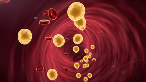 Blood cholesterol