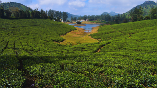 Meghamalai