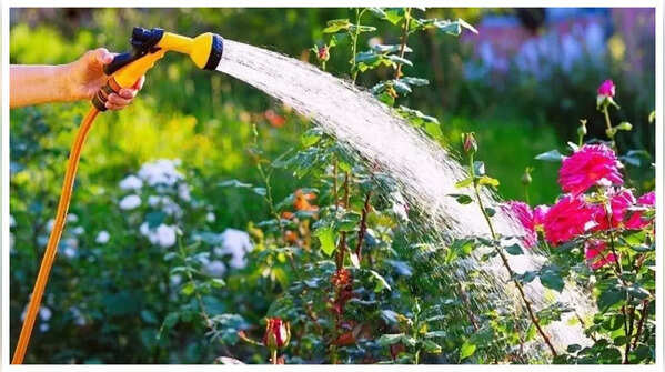 Try a bidet