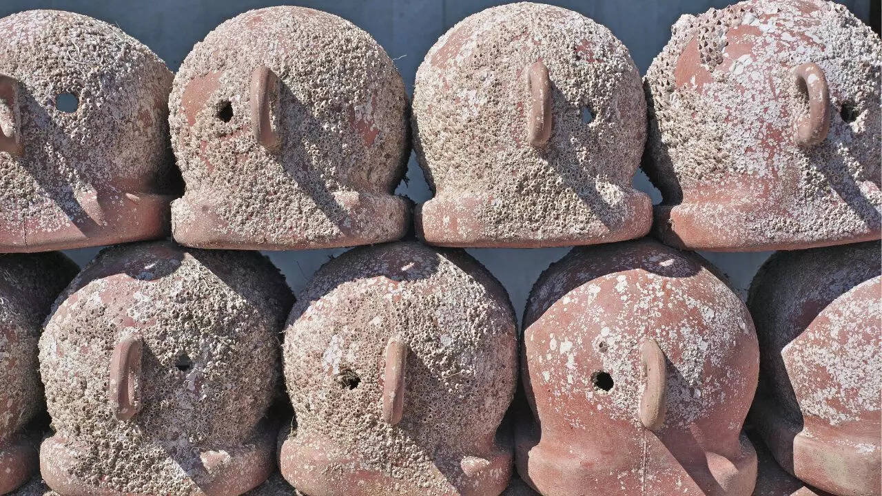 Takotsubo is a pot used by fishermen to trap octopus