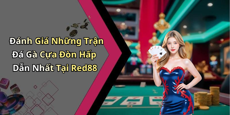 Đánh Giá Những Trận Đá Gà Cựa Đòn Hấp Dẫn Nhất Tại Red88