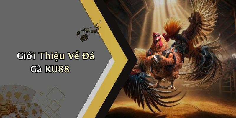 Giới Thiệu Về Đá Gà KU88