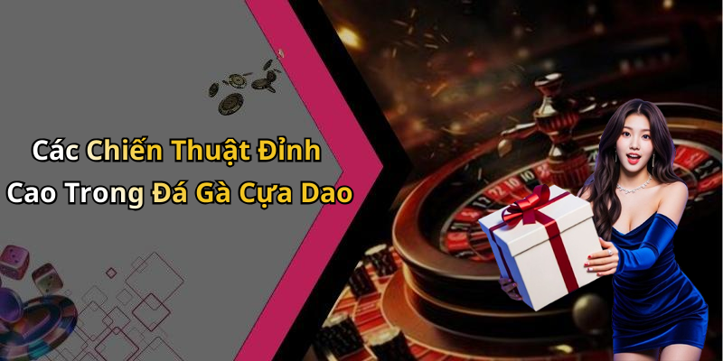 Các Chiến Thuật Đỉnh Cao Trong Đá Gà Cựa Dao