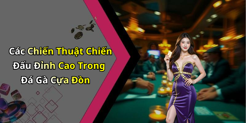 Các Chiến Thuật Chiến Đấu Đỉnh Cao Trong Đá Gà Cựa Đòn
