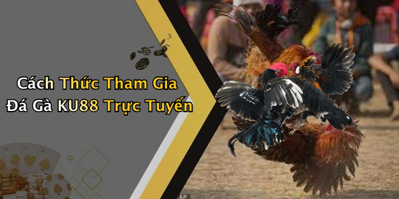 Cách Thức Tham Gia Đá Gà KU88 Trực Tuyến
