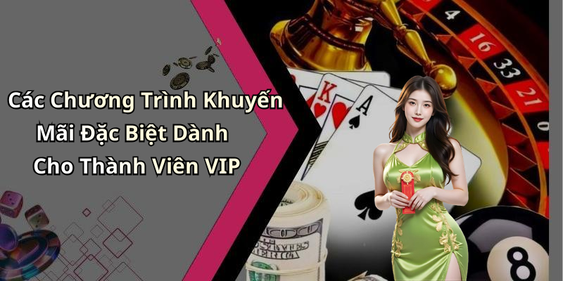 Các Chương Trình Khuyến Mãi Đặc Biệt Dành Cho Thành Viên VIP