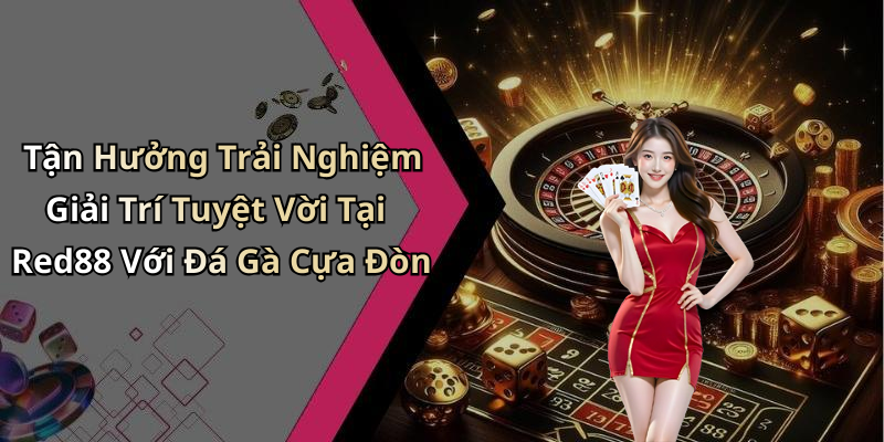 Tận Hưởng Trải Nghiệm Giải Trí Tuyệt Vời Tại Red88 Với Đá Gà Cựa Đòn