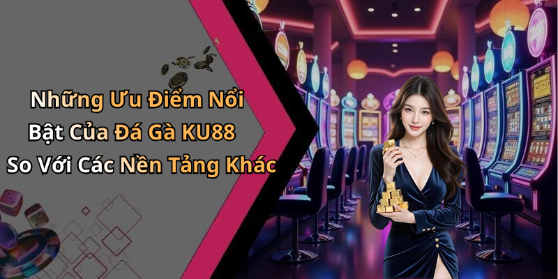Những Ưu Điểm Nổi Bật Của Đá Gà KU88 So Với Các Nền Tảng Khác