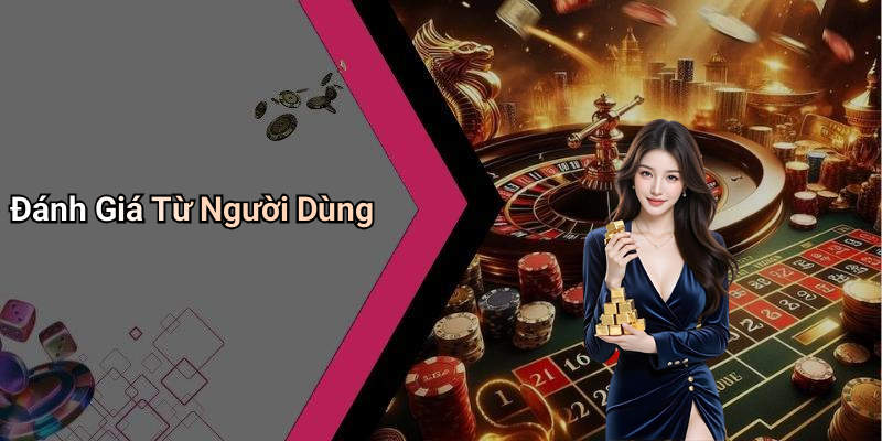 Đánh Giá Từ Người Dùng